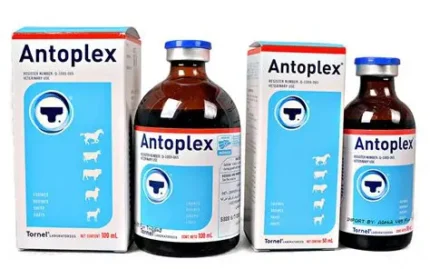 Antoplex Injection for Sale | Buy Vitamin B Complex & Iron Injection | Global Vet Care