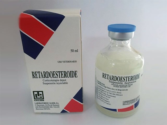 Retardoesteroide-50-ml-0-1.jpg Retardoesteroide – 50 Ml - Image 1