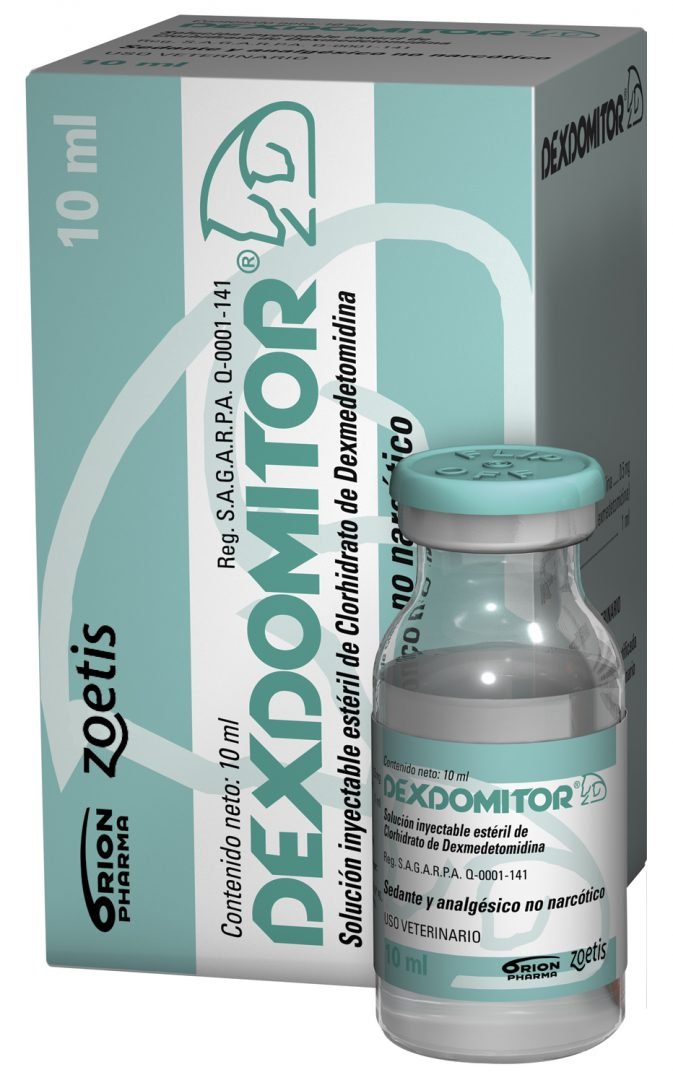 dexdomitor.jpeg Dexdomitor 1oml - Image 1