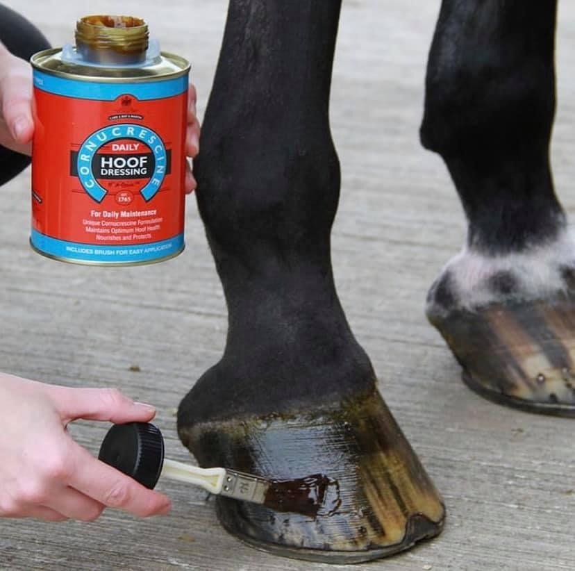 84bf1f77-4fd9-4020-b901-1743c655.jpg hoof dressing - Image 1