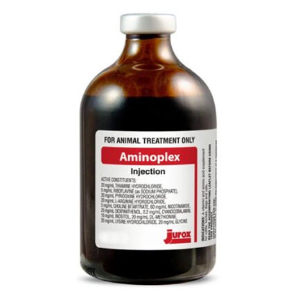 Buy Aminoplex Injection 100ml – Trusted Supplement for Strength & Recovery