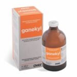 Buy Ganekly Injection Online