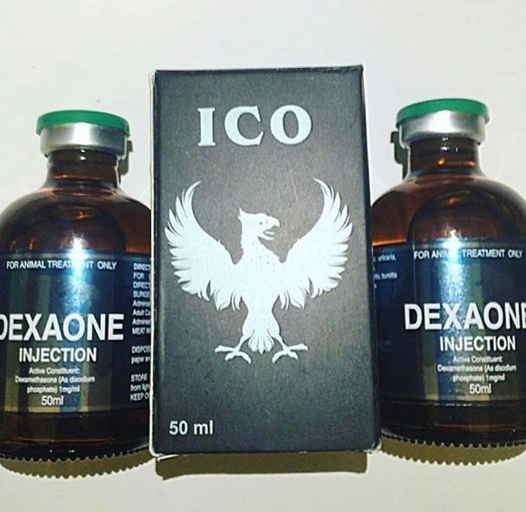 DEXAONE.jpg DEXAONE - Image 1