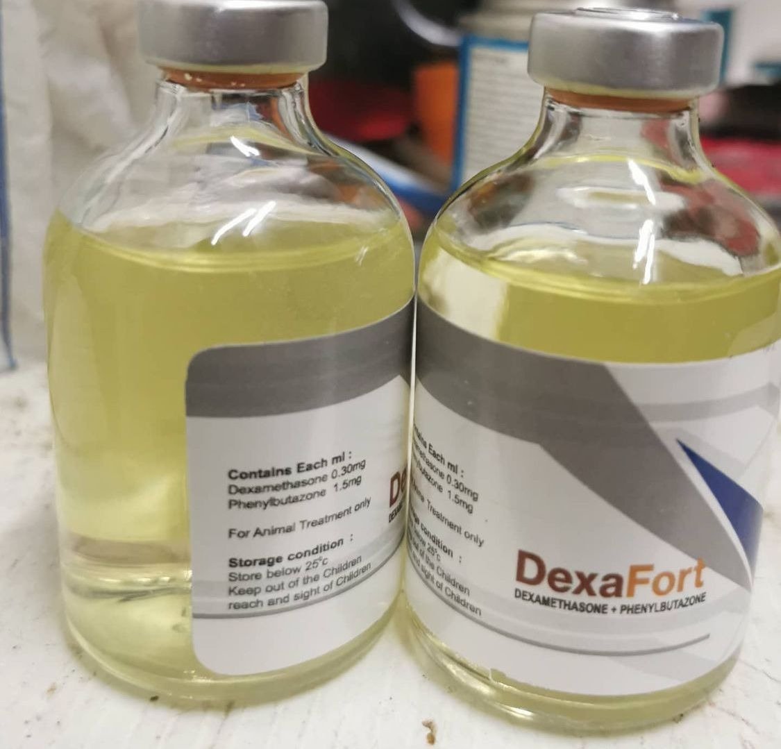 Dexafort-50-ml-1-1.jpg Dexafort 50 ml - Image 1