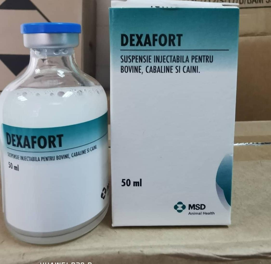 Dexafort-50-ml-1.jpg Dexafort 50 ml - Image 1