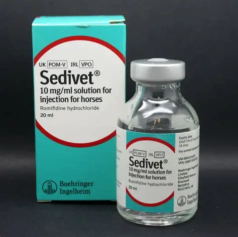 Buy Sedivet 1.0% – Secure Equine & Livestock Medicine Online Buy Sedivet 1.0% – Secure Equine & Livestock Medicine Online