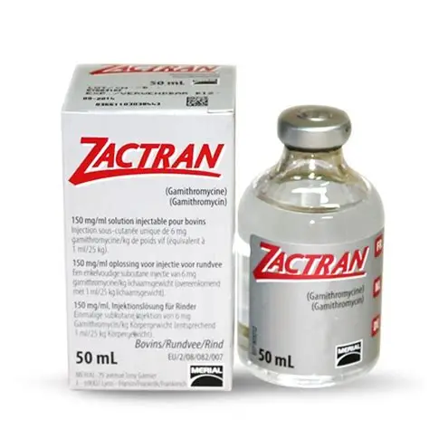 Buy Zactran 150mg – Effective Bovine Respiratory Infection Treatment | Equnes Vets Buy Zactran 150mg – Effective Bovine Respiratory Infection Treatment | Equnes Vets