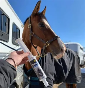 Buy Last Minute Paste Online – Proven Pre‑Race Formula