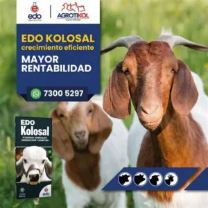 Edo Kolosal Buy Edo Kolosal Online – Advanced Livestock Nutrition