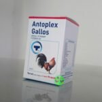 Buy Antoplex Gallos – Trusted Animal Health Formula Online