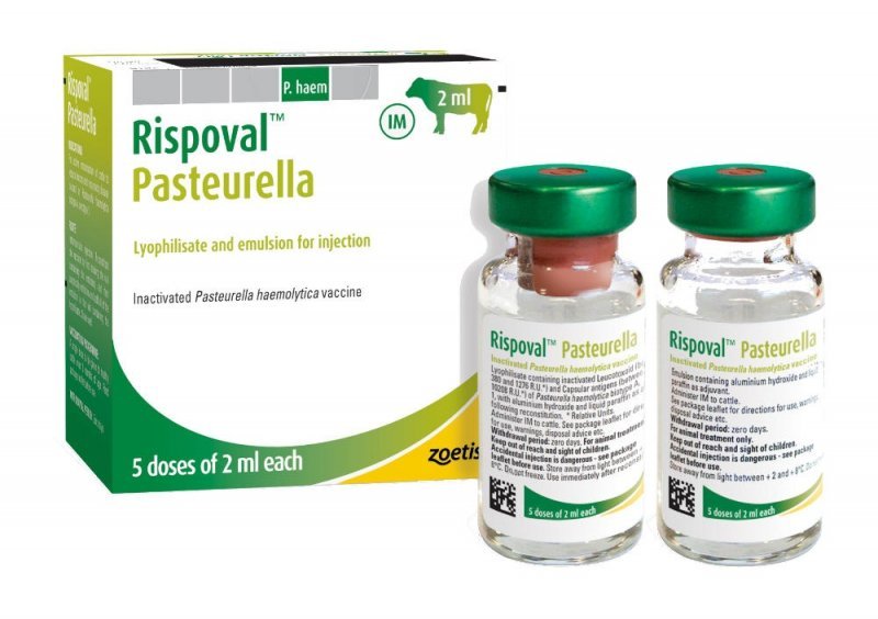 Rispoval Pasteurella 25d Injection 2ml Buy Rispoval Pasteurella 25d Injection 2ml Online