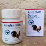 Buy Antoplex Gallos – Trusted Animal Health Formula Online