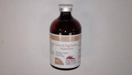 SPEED EXPLOSION 100ML