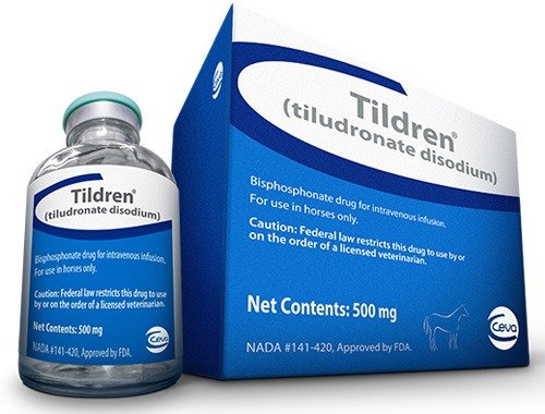 Tildren.jpg Buy Tildren for Horses - Image 1