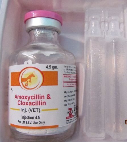 amoxy-Cloxa-inj-1-1-e16161836016.jpg amoxicillin injection - Image 1