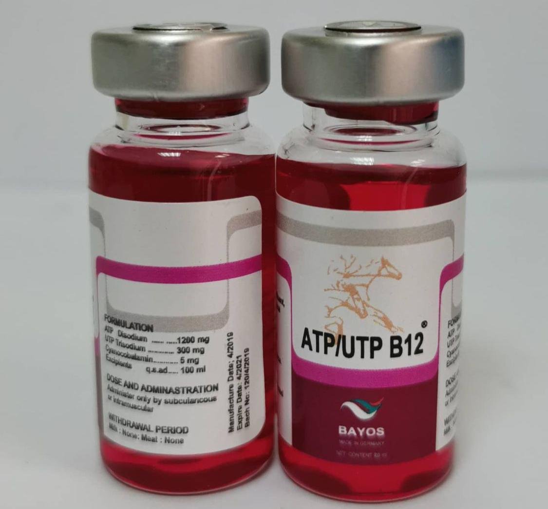 Buy B12-ATP – Veterinary Performance Formula | Equines Meds Buy B12-ATP – Veterinary Performance Formula | Equines Meds