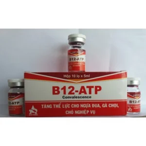B12-ATP Buy B12‑ATP – Veterinary Performance Formula | Equines Meds