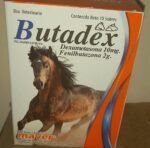 Buy Butadex – Powerful Anti‑Inflammatory & Pain Relief Injection for Horses