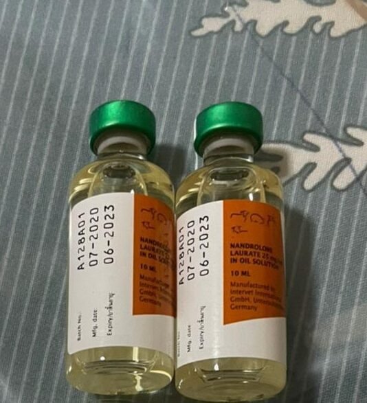 c94f7825-4587-4031-83d8-dd7d33c0.jpg Nandrolone injection - Image 1