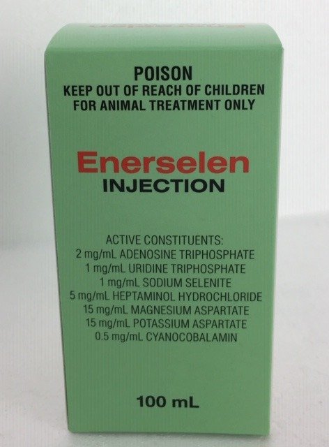 image-1162.jpg ENERSELEN INJECTION 100ML - Image 1
