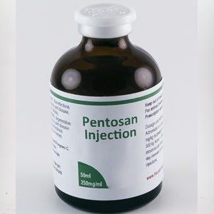 Buy Pentosan Injection 250mg Online – Premium Equine Care