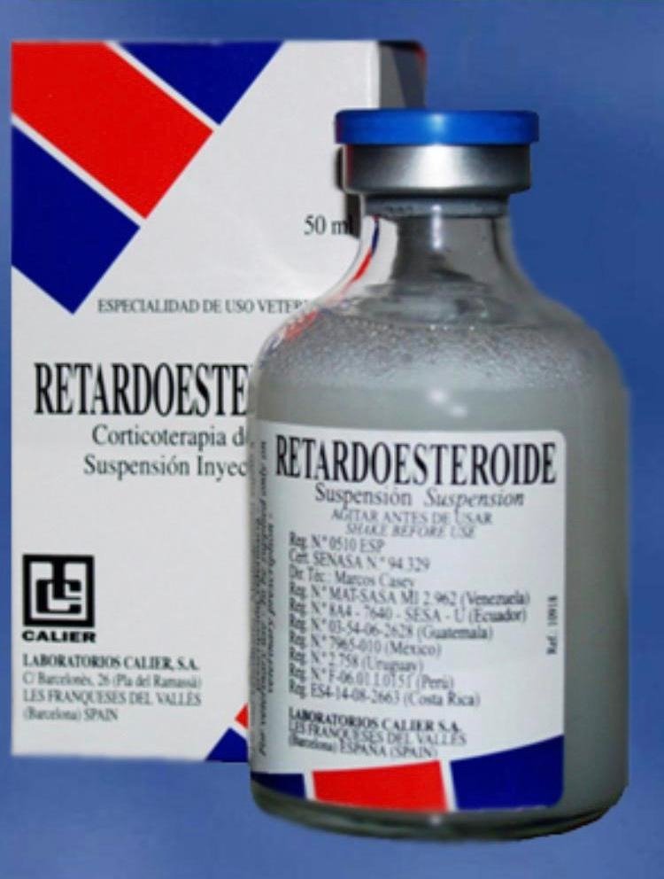 retardoesteroide-1.jpg retardoesteroide - Image 1