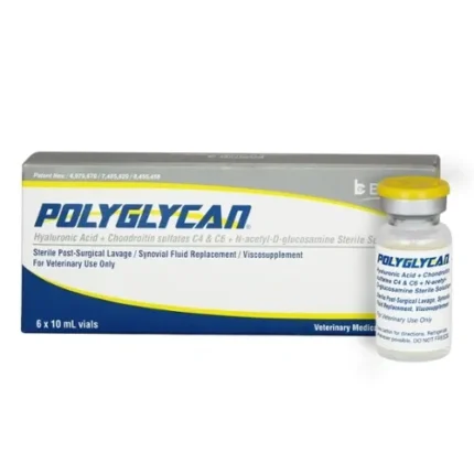 Polyglycan 10ml – Premium Injectable Joint Therapy