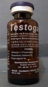 Testogar