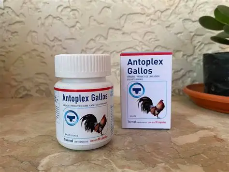 Where to Buy Antoplex Gallos Online